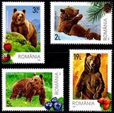 [Fauna - Bears, type LFL]