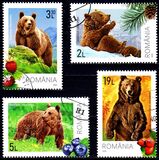 [Fauna - Bears, type LFL]