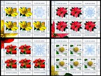 [Winter Flowers, type LFP]