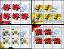 [Winter Flowers, 类型 LFP]
