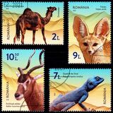 [Desert Fauna, type LJI]