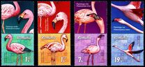 [Birds - Flamingos, type LJR]
