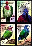 [Birds - Exotic Pigeons, Typ LKQ]