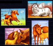 [Fauna - Horses, 類型 LLG]