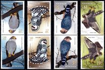 [Birds - Falcons, type LGL]
