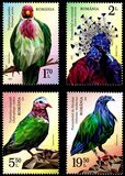 [Birds - Exotic Pigeons, Typ LKQ]