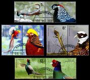 [Birds - Phesants, Tipi LBV]