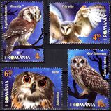 [Fauna - Nocturnal Birds, тип LNY]