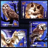 [Fauna - Nocturnal Birds, тип LNY]