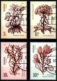 [Invasive Species, タイプ LOV]
