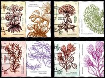 [Invasive Species, タイプ LOV]