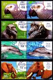[Fauna - Smart Animals, 类型 LPD]