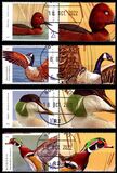 [Birds - Wild Ducks and Geese, type LPK]