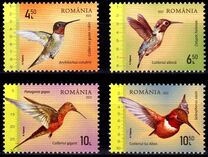 [Hummingbirds, tegund LPP]
