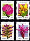 [Endemic Plants from the Carpathian Mountains, type LQE]