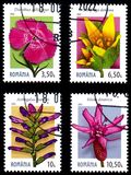 [Endemic Plants from the Carpathian Mountains, type LQE]