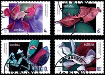 [Flowers - Fantasies of the Fauna, type LQI]