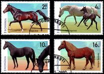 [Fauna - Horse Breeds, tegund LPT]