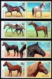 [Fauna - Horse Breeds, tegund LPT]