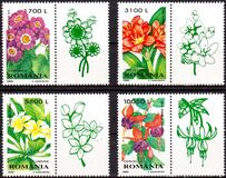 [Ornamental Plants, type HUM]