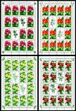[Ornamental Plants, type HUM]