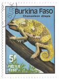 [Reptiles and Amphibians, tegund AH]