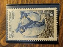 [Penguins and Seals, type B]