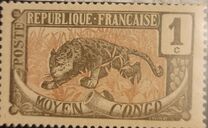 [Leopard - Panthera pardus, type A]
