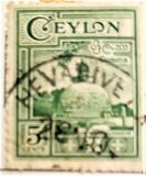 [Local Motifs, type CE]