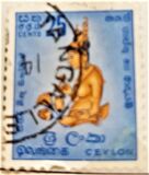 [Local Motifs, tip CN]