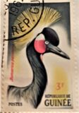 [Birds, type AZ1]