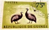 [Birds - Guineafowl, 类型 AE5]
