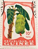 [Fruits in Natural Colors, type J]