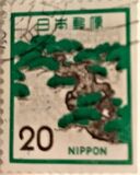 [Definitive Issue, type AYA]