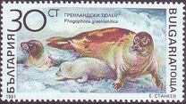 [Marine Mammals, type ENH]