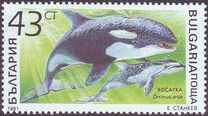 [Marine Mammals, type ENI]