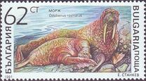 [Marine Mammals, type ENJ]