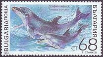 [Marine Mammals, type ENK]