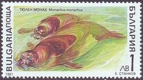 [Marine Mammals, type ENL]