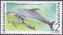 [Marine Mammals, type ENM]