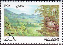 [Codri Nature Reserve, type C]