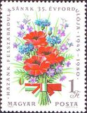 [The 35th Anniversary of the Liberation, Tip DUW]