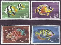 [Red Sea Fish, Tip IK]
