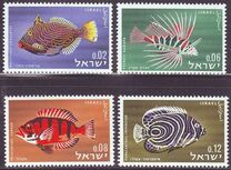 [Red Sea Fish, type JJ]