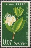 [The 13th Anniversary of Independence. Flowers, type HI]