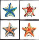 [Starfish - Self-Adhesive, type XC]