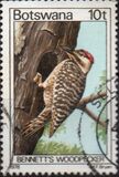 [Birds, Typ GV]