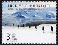 [The Project of Scientific Research STATI, tipas FOE]