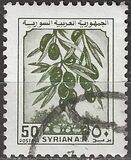 [Mothers' Day, Olive, Port, President, Tüüp AHB]