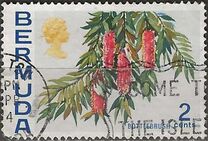 [Flowers, 类型 EC]